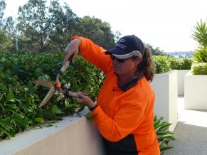 Knight Frank Australia Pty Ltd